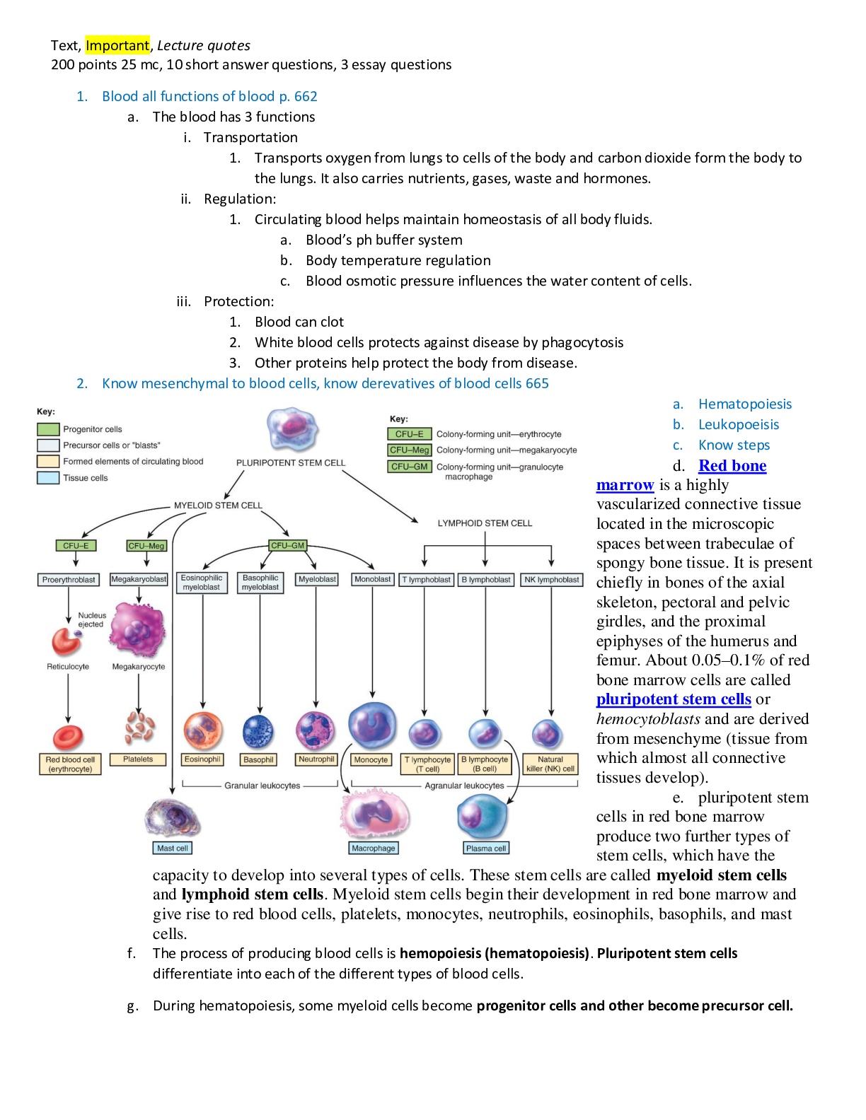 Composition of Blood and its Functions